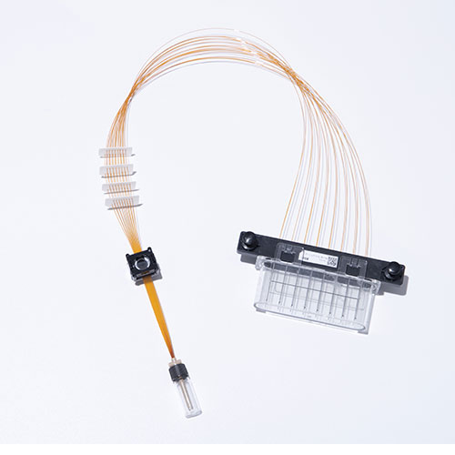 Capillary array