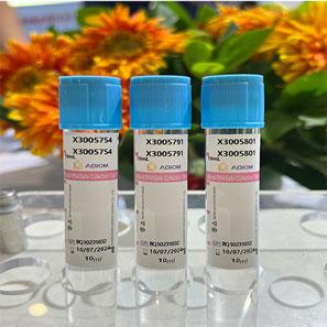 Ống  lấy máu chân không bảo quản RNA